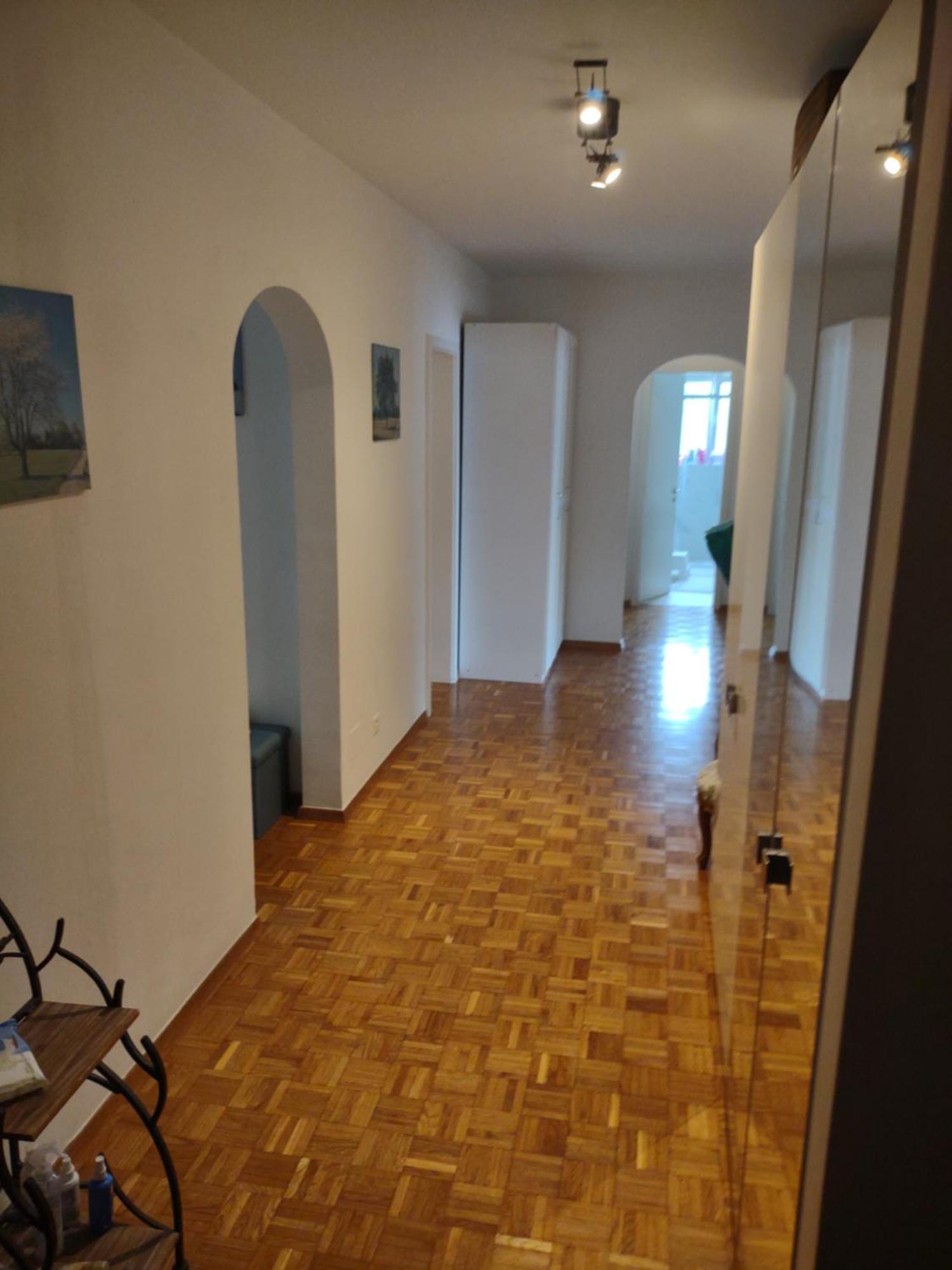 Appartamento Bellavista Lugano Massagno Екстер'єр фото