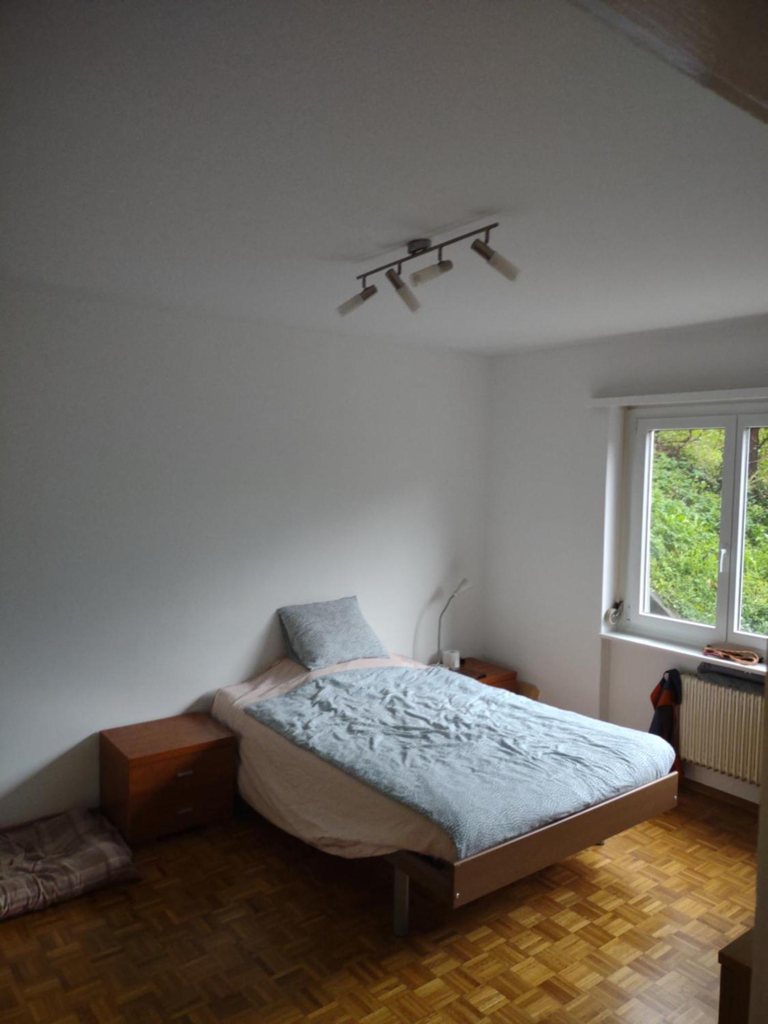 Appartamento Bellavista Lugano Massagno Екстер'єр фото